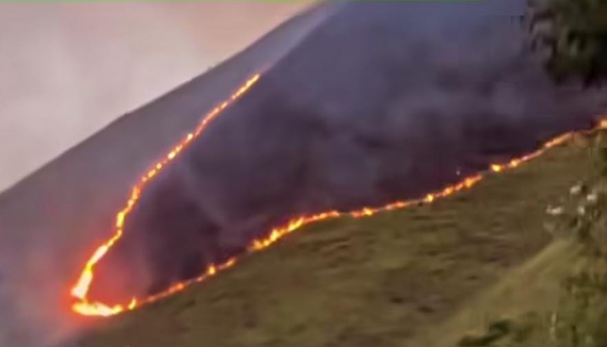 Foto kebakaran gunung daerah tongging.