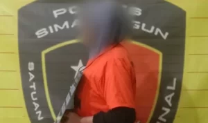 Pelaku pencabulan seorang ibu asuh berusia 44 tahun, berinisial S.