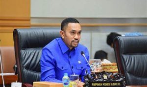 Bendahara Umum Partai NasDem, Ahmad Sahroni.