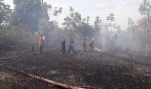 Kebakaran Lahan Kering di Lubuklinggau, Satu Unit Water Canon Dikerahkan