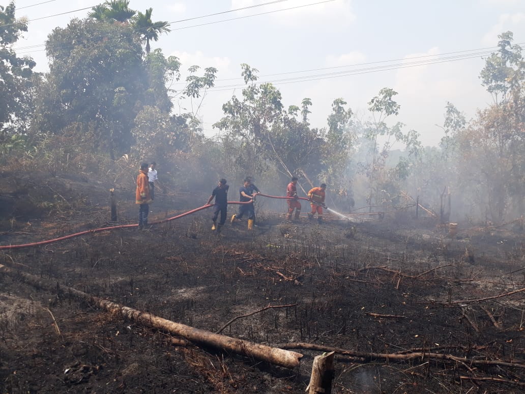 Kebakaran Lahan Kering di Lubuklinggau, Satu Unit Water Canon Dikerahkan