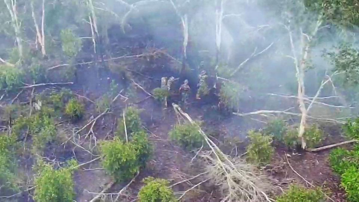 Kebakaran Lahan di Ogan Ilir, 15 Hektare Perkebunan Sawit Terbakar Lagi