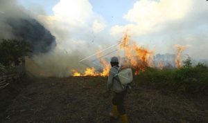 Pemprov Sumatera Selatan Siagakan 1.000 Personel untuk Tangani Karhutla