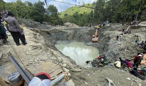 Penambangan Emas Ilegal oleh WNA China di Ketapang Merugikan Negara