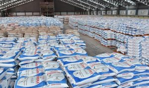 Pupuk Indonesia Menyumbang Reduksi Emisi CO2 Sebesar 1,91 Juta Ton pada 2023