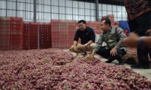 Fluktuasi Harga Pangan di Indonesia: Data Terbaru 27 Juli 2024