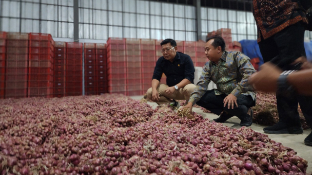 Fluktuasi Harga Pangan di Indonesia: Data Terbaru 27 Juli 2024