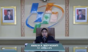 BPS Umumkan Deflasi 0,18% pada Juli 2024 - Berita Terbaru Inflasi