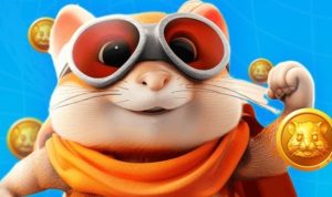 Daily Cipher dan Daily Combo Hamster Kombat, Hari ini 06 Agustus 2024