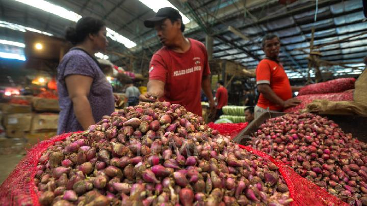 Deflasi Ketiga pada 2024, Indonesia Alami Penurunan Harga Lagi