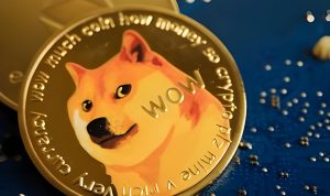 Dogecoin Tetap Profit meskipun Mengalami Penurunan Harga Signifikan