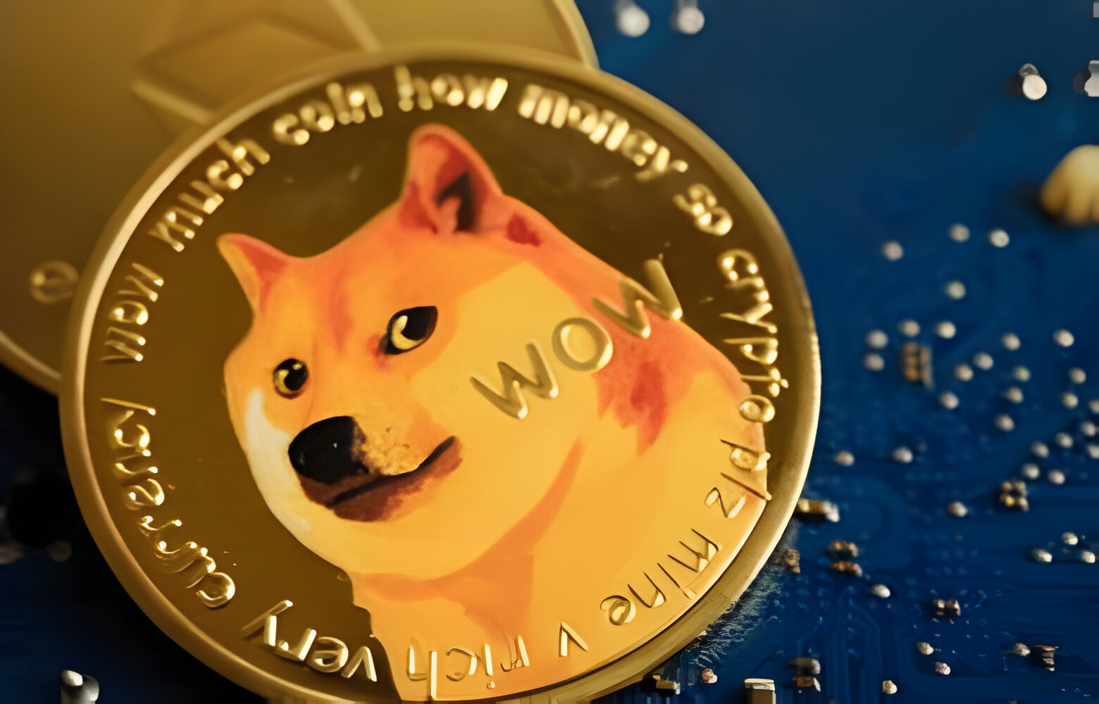 Dogecoin Tetap Profit meskipun Mengalami Penurunan Harga Signifikan