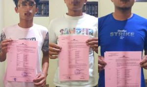 Empat Pemuda di Samosir Kepergok Mencuri Babi, Modus Terekam Polisi