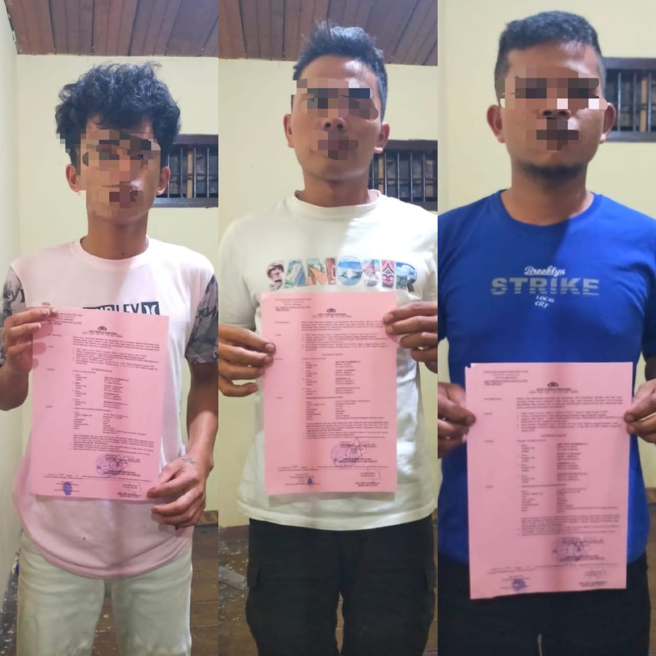 Empat Pemuda di Samosir Kepergok Mencuri Babi, Modus Terekam Polisi
