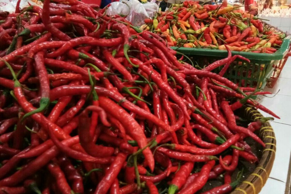 Harga Cabai Rawit Merah Turun di Pasar Nasional - UPDATE 21 AGUSTUS 2024