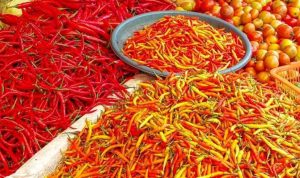 Harga Pangan Nasional Fluktuatif, Cabai Merah Turun, Bawang Merah Naik per 14 Agustus 2024