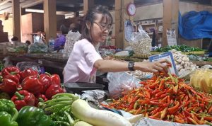 Harga Pangan Nasional Naik Drastis, Update 16 Agustus 2024