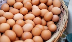 Harga Pangan Nasional Turun Tipis, Telur Ayam Ras Rp28.100 per Kg - Update Terbaru