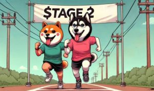Husky Inu ($HINU) Memecoin Berbasis Solana Sukses Dalam Presale