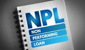 Kenaikan NPL Kredit UMKM Diprediksi Terjadi, OJK Catat Profil Risiko Lebih Tinggi
