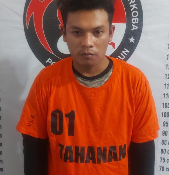 Penangkapan Pengedar Narkoba di Simalungun Polsek Saribu Dolok Berhasil Amankan Tersangka di Perladangan