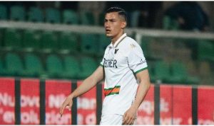 Prediksi Skor Venezia FC vs Torino, Liga Serie A Italia Musim 2024-2025