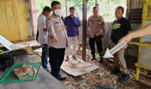 Viral! Pria Semarang Konsumsi Daging Kucing untuk Obat Diabetes, Polisi Turun Tangan