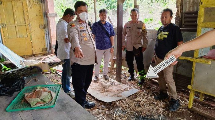 Viral! Pria Semarang Konsumsi Daging Kucing untuk Obat Diabetes, Polisi Turun Tangan