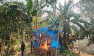 Barang bukti yang diamankan kepolisian dan gubuk y ang dibakar.(Istimewa).