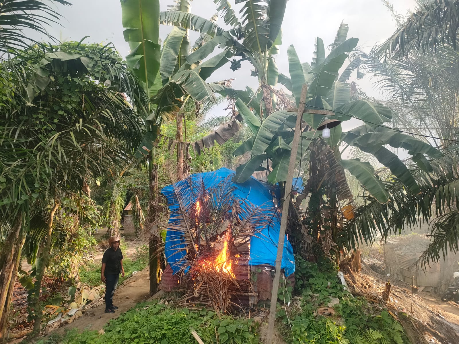 Barang bukti yang diamankan kepolisian dan gubuk y ang dibakar.(Istimewa).