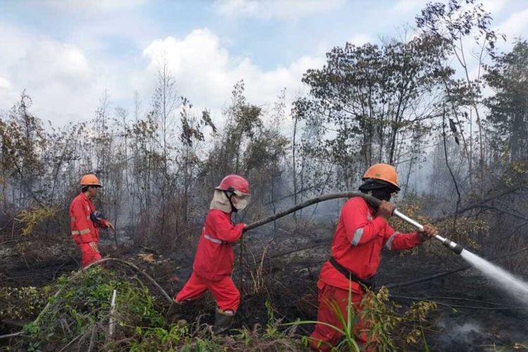 Kebakaran Hutan dan Lahan di Sumatera Selatan: Upaya Pemadaman Masih Berlanjut
