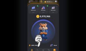 Daily Cipher dan Daily Combo Hamster Kombat: Peluang Emas untuk Mendapatkan Koin!