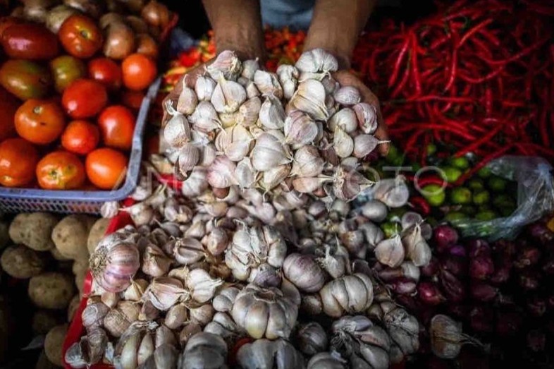Harga Pangan Naik: Bawang Putih, Bawang Merah, dan Cabai Merah Keriting Terpantau Melonjak
