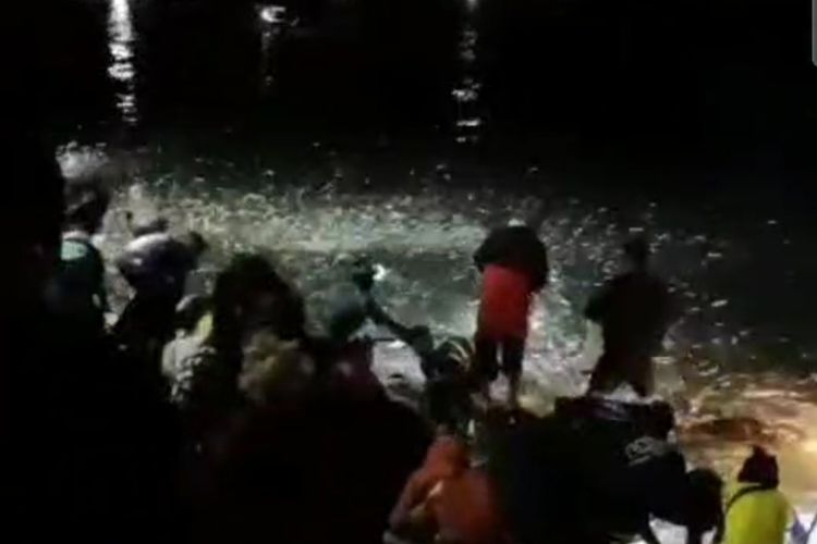 Fenomena Ikan Terbang di Pantai Selatan Tasikmalaya, Hebohkan Netizen