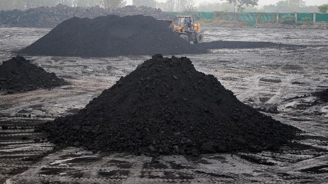 Harga Batu Bara Turun Drastis Akibat Rendahnya Permintaan dari China dan Faktor Ekonomi Lainnya