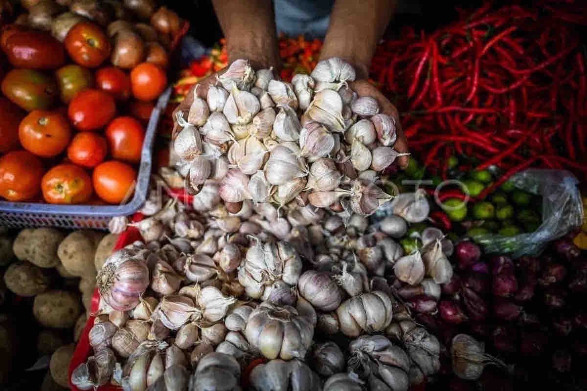 Fluktuasi Harga Pangan: Beras Turun, Bawang dan Cabai Naik, Update 25 September 2024