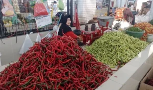Kenaikan Harga Pangan Nasional, Bapanas Catat Lonjakan Signifikan