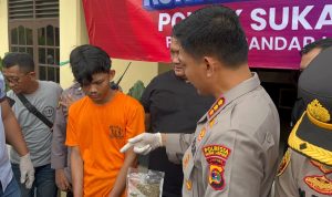 Penangkapan Klinton AL Holiab Sinaga atas Penembakan Mahasiswa PKL di Bawaslu Lampung