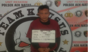 Pelaku yang diamankan petugas kepolisian.(Istimewa).