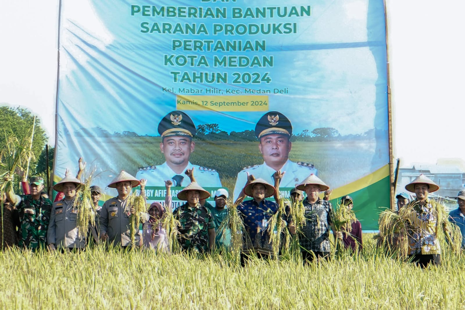Panen Raya Padi di persawahan Mabar Hilir. BP/erwan