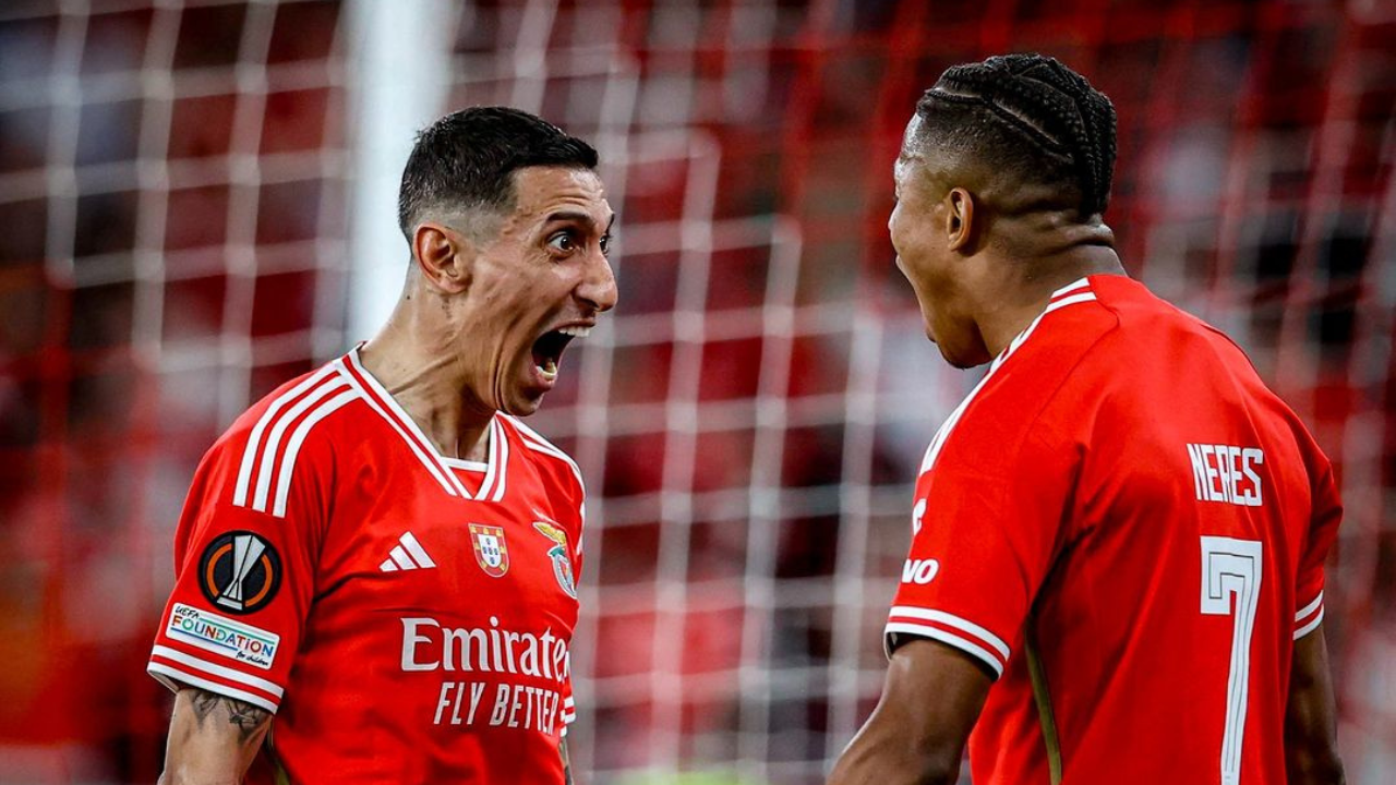 Prediksi Skor Boavista vs Benfica di Liga Portugal Musim 2024/2025