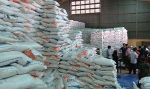 Gudang berasa se-Indonesia, BP/TMP