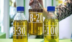 Harga Indeks Pasar Bahan Bakar Nabati (HIP BBN) Turun di Oktober 2024