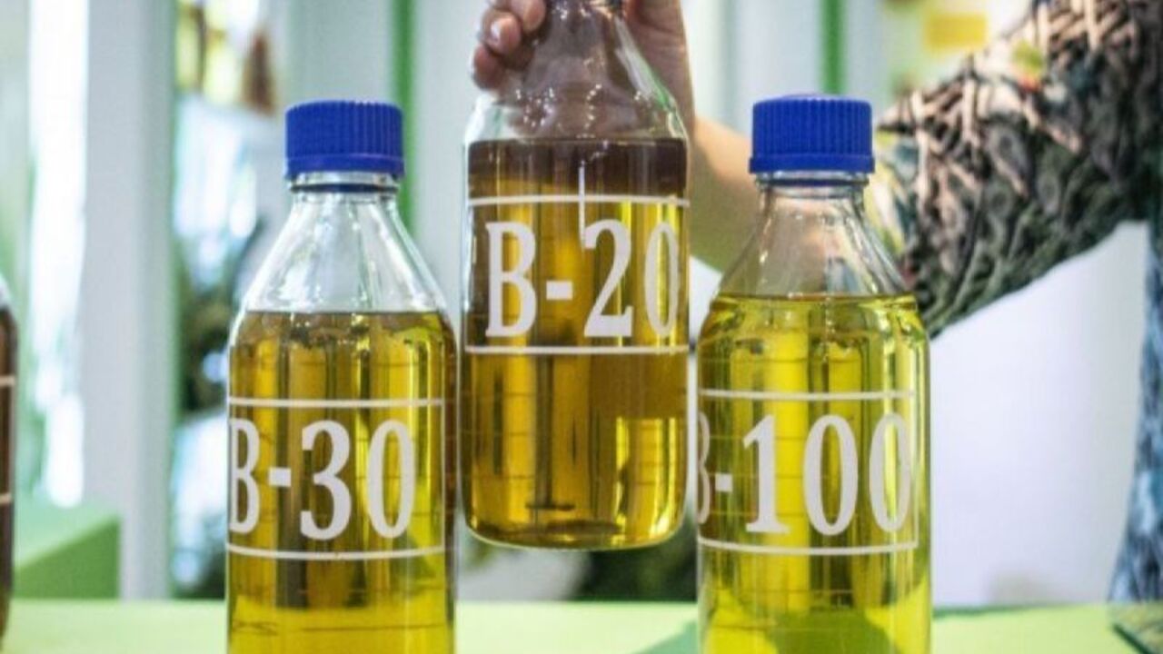 Harga Indeks Pasar Bahan Bakar Nabati (HIP BBN) Turun di Oktober 2024