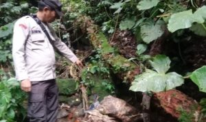 Pihak kepolisian menunjukkan lokasi penemuan mayat.(Istimewa).