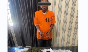Pelaku penyalahgunaan narkoba beserta barang bukti ratusan gram ganja diamankan di Mapolres Tanah Karo, Jalan Veteran, Kabanjahe, BP/TRBN