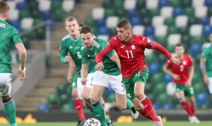 Prediksi Skor Belarusia vs Irlandia Utara, 13 Oktober 2024, UEFA Nations League 2024-2025