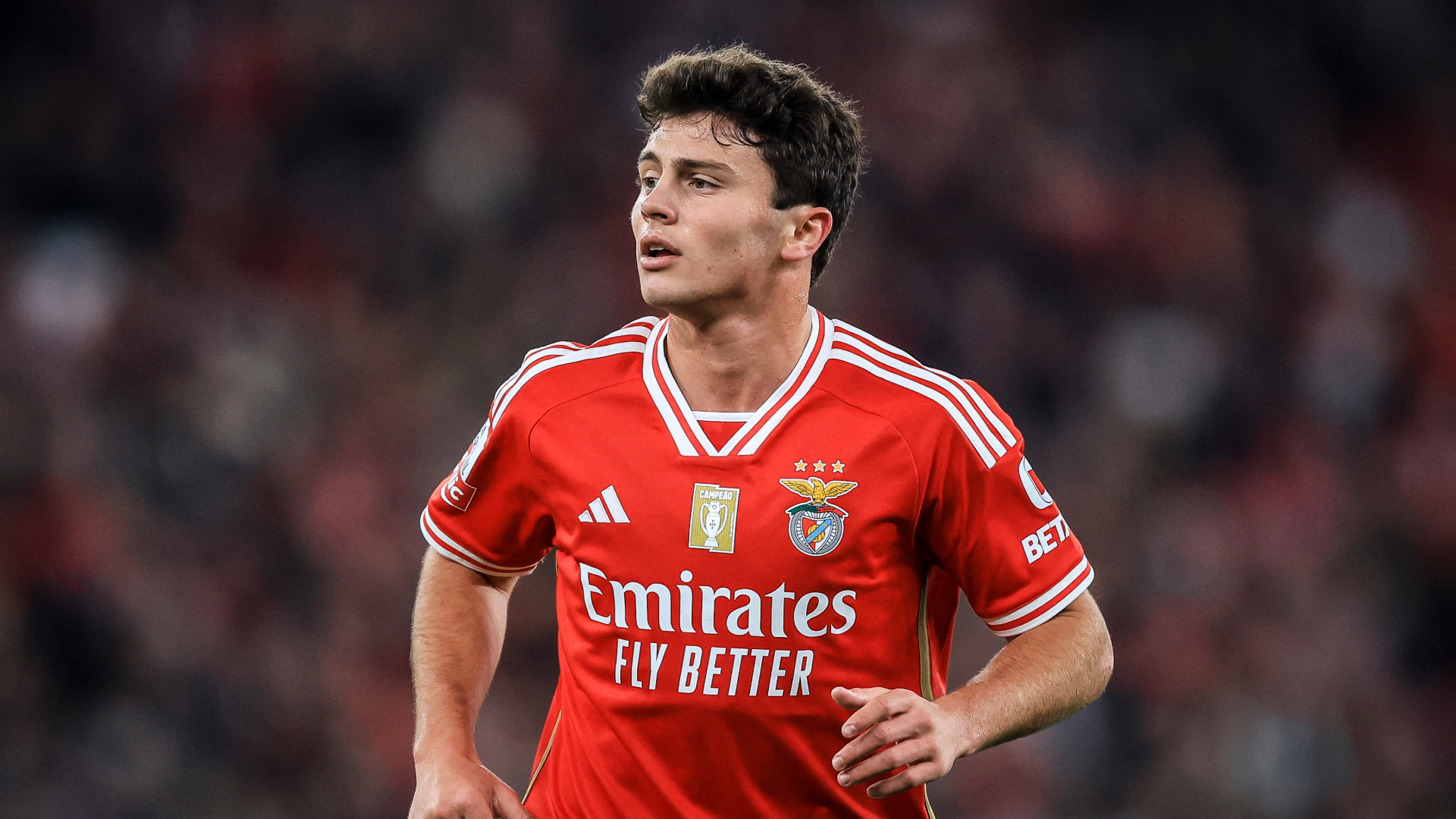 Prediksi Skor Benfica vs Feyenoord, UEFA Champions League Musim 2024-2025