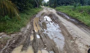 Kondisi jalan yang rusak parah di Desa Panambean Marjanji, Kecamatan Tanah Jawa, Kabupaten Simalungun. BP/ist