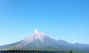 Gunung Semeru erupsi dengan tinggi kolom letusan 600 meter pada Sabtu, 26 Oktober 2024, pukul 06.23 WIB, BP/ANTR.
